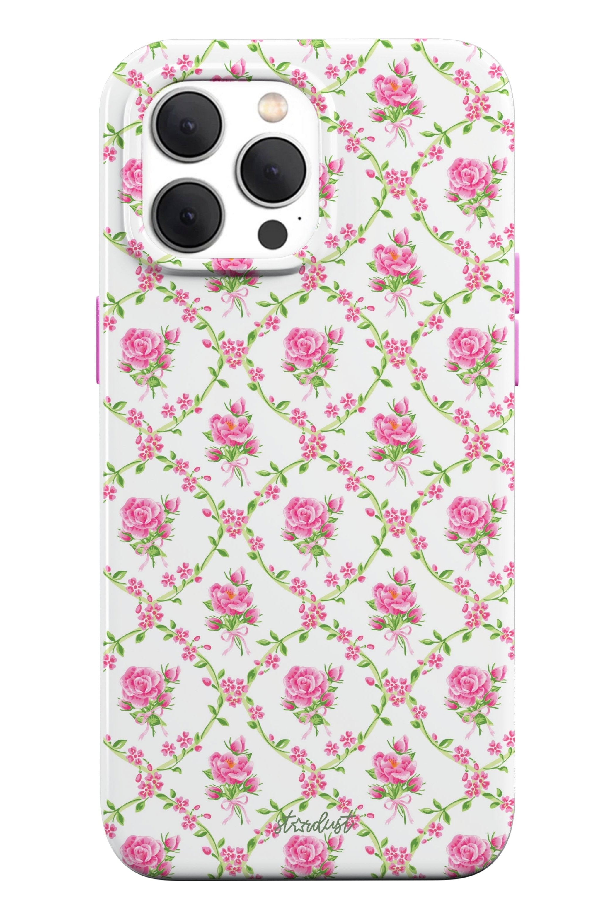 Rose Gardens MagSafe iPhone Case